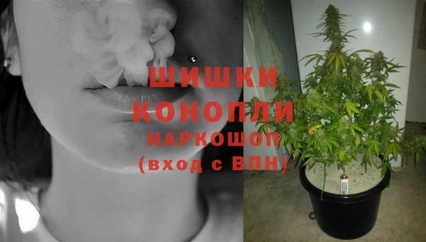 mdma Няндома