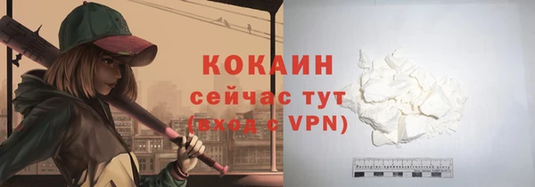 эйфоретик Осинники
