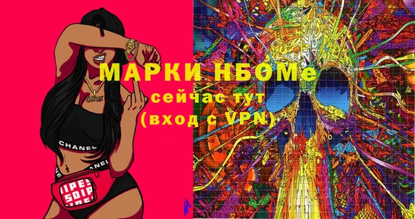 шишки Гусь-Хрустальный