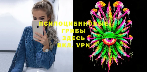 mdma Няндома