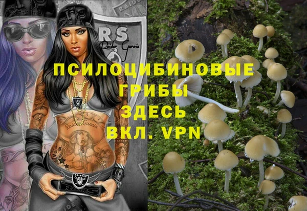 стафф Нязепетровск
