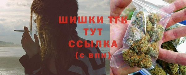 эйфоретик Осинники